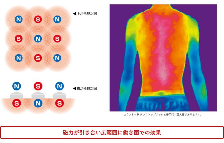コラントッテ TAO スリム ARAN mini 磁気 ネックレス シャンパン