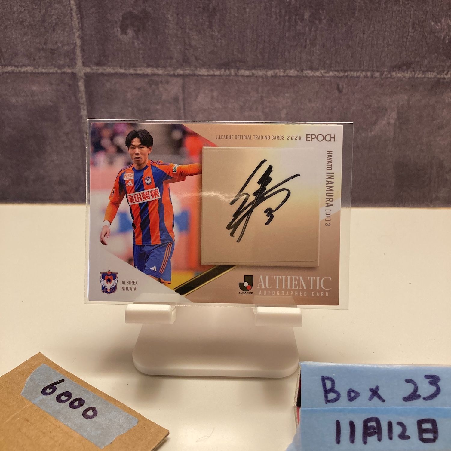 2025 Epoch Jリーグ 稲村隼翔 53/55 直筆サインカード アルビレックス