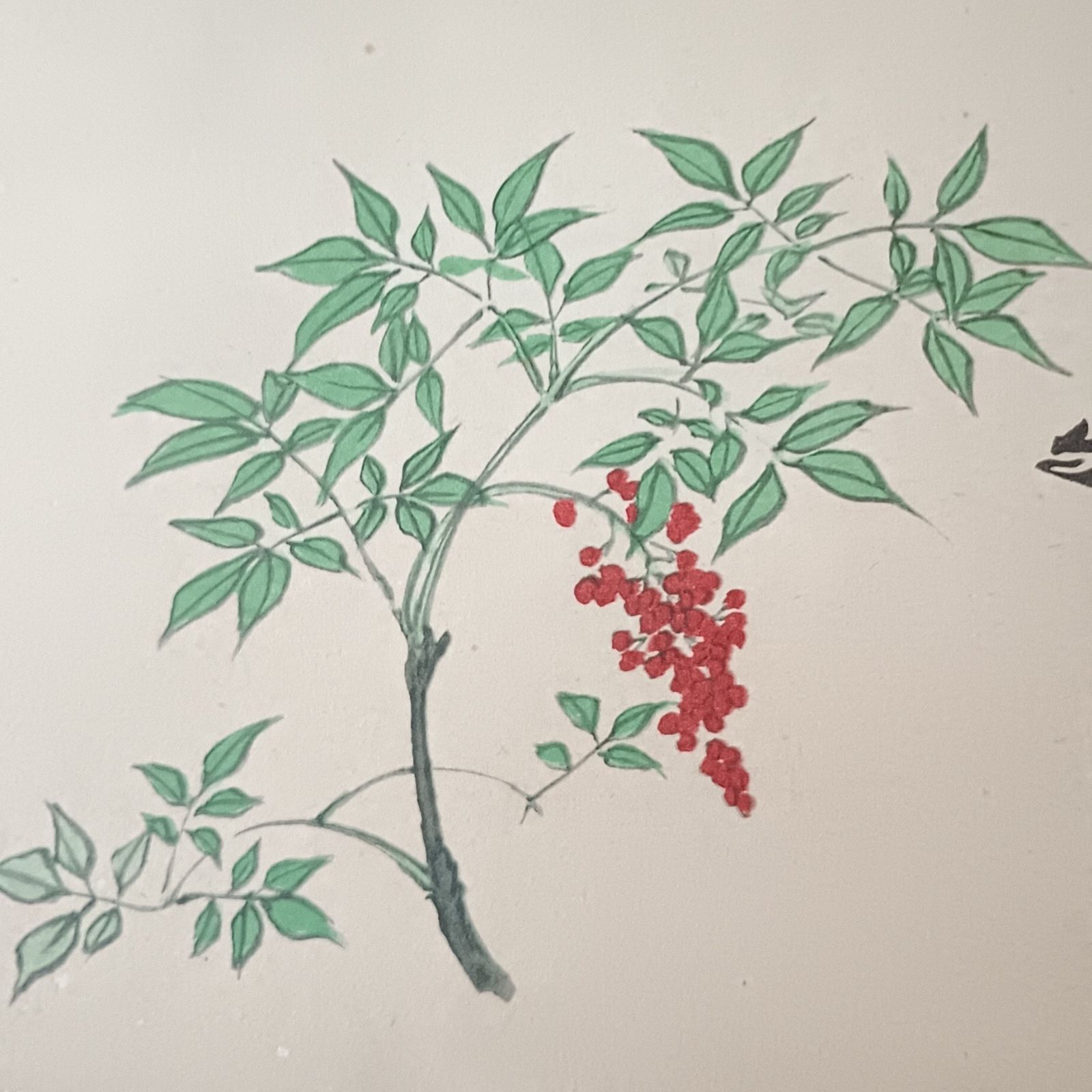 色紙アート 南天図 天龍寺 関牧翁老師 日本の風景 色紙絵 風景画 山のi