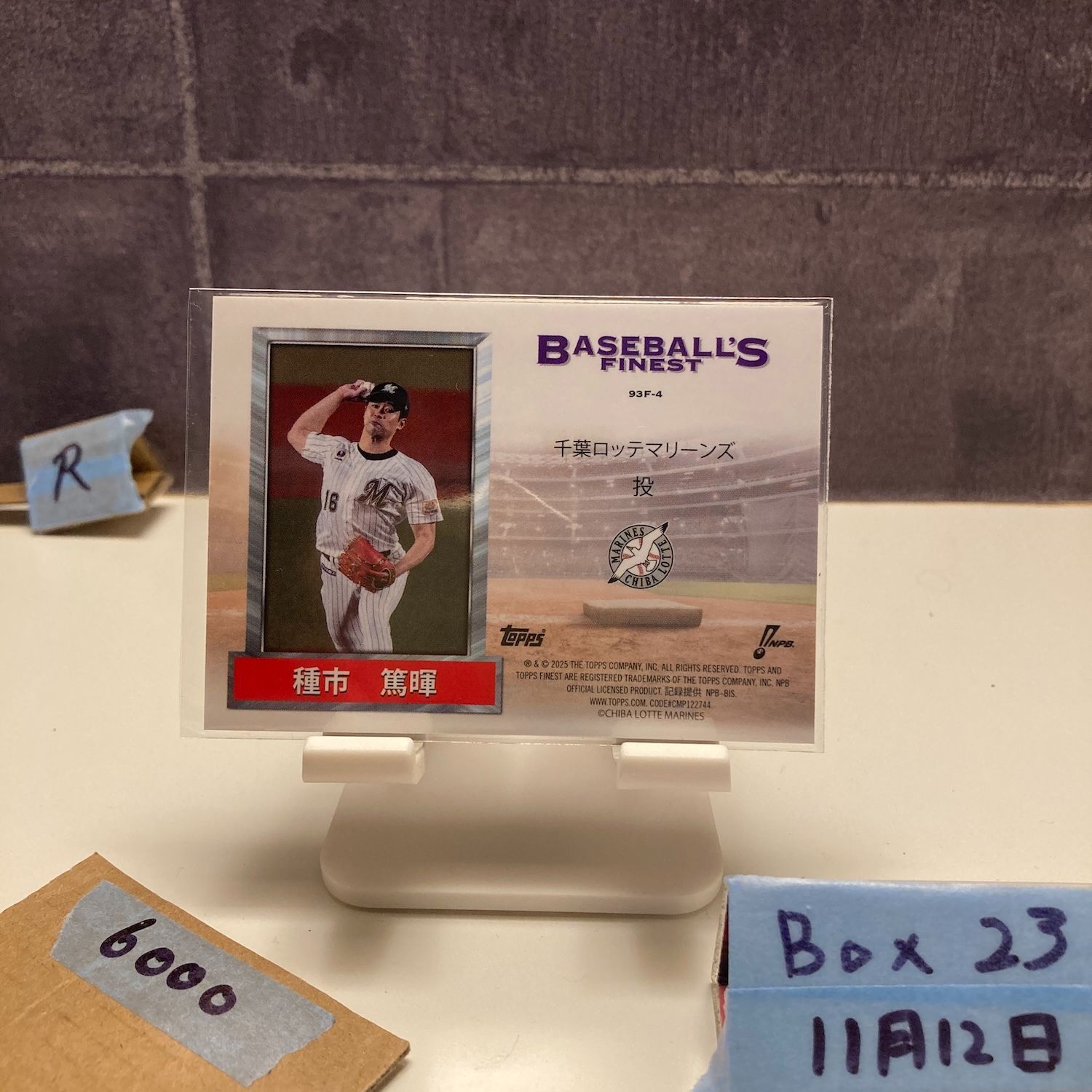 2025 Topps Baseballs Finest 種市篤暉 Atsuki Taneichi 10/10 千葉 