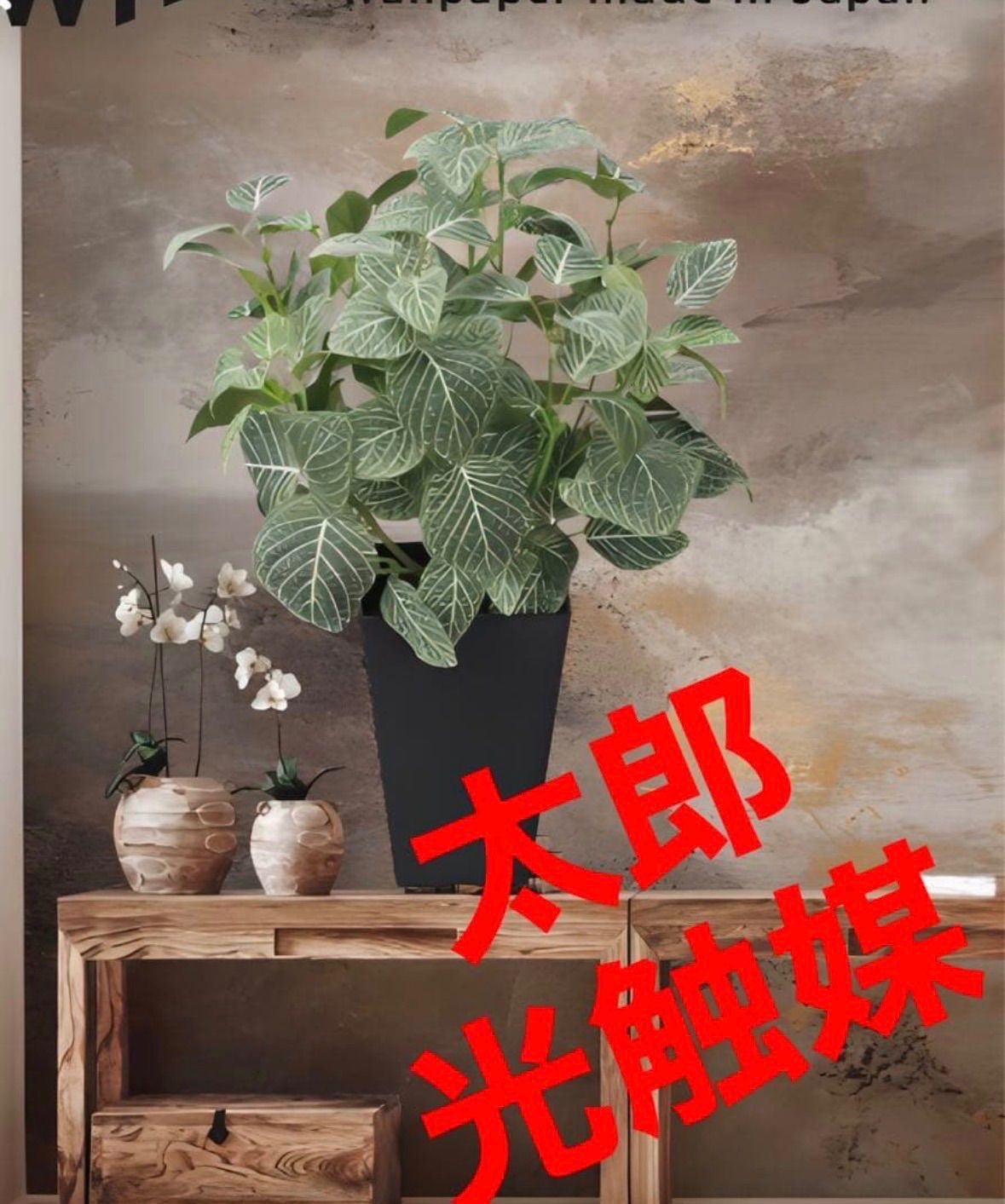 光触媒 人工観葉植物 ウォールグリーン フェイクグリーン フィットニア