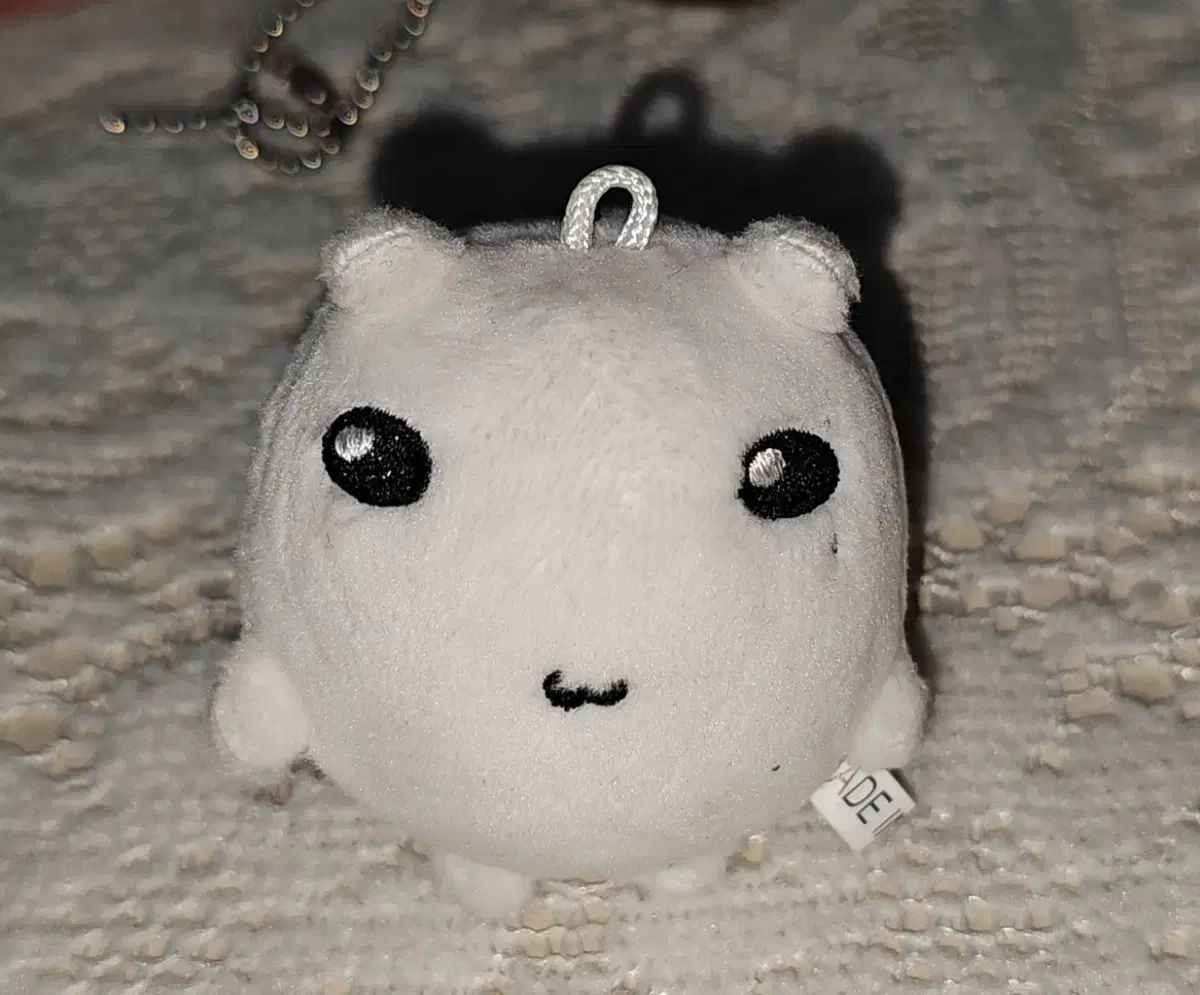 BOYNEXTDOOR(ボイネク) リウ(RIWOO) ぬいぐるみ 名前 unknown - メルカリ