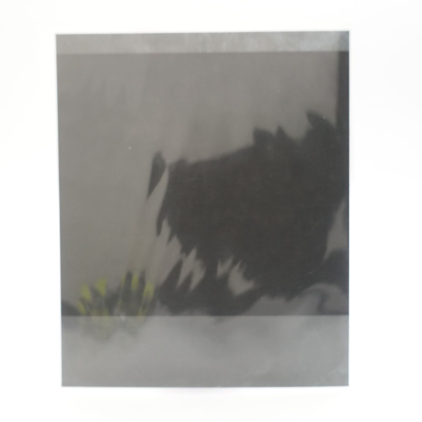 aespa カリナ Whiplash POPUP MD 購入特典 ポラロイド チェキ 特典