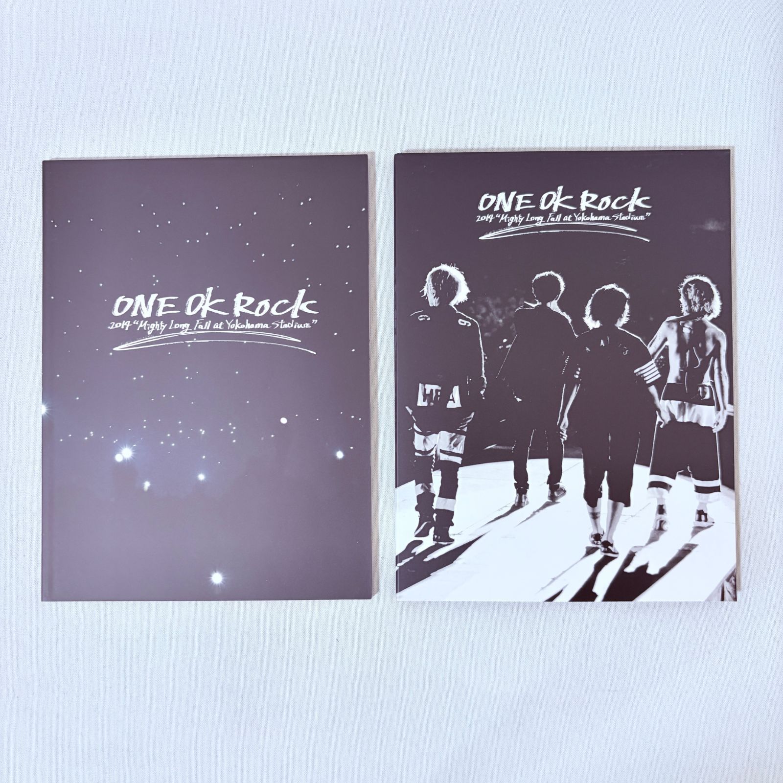 ONE OK ROCK 2014 “Mighty Long Fall at Yokohama Stadium