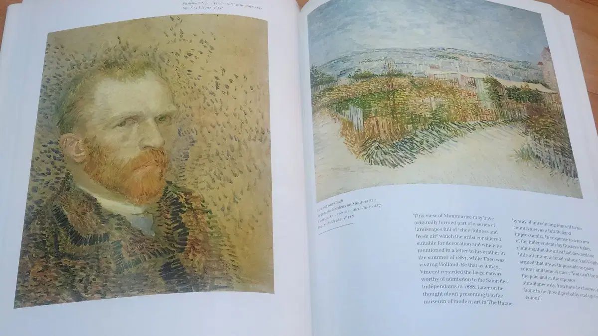 ゴッホ 画集 英語 ONE 原文 解説書 Van Gogh & きらめく色彩の