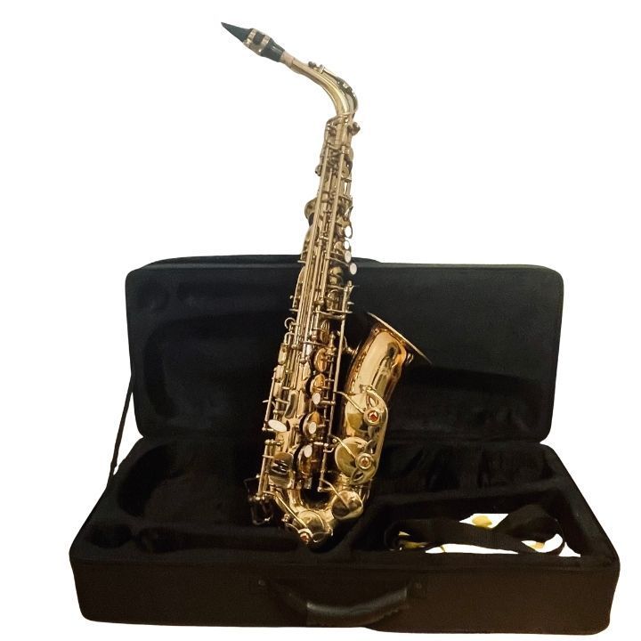 【美品】Kaerntner ケルントナー アルトサックス ケース付き 付属品多数 Kaerntner ケルントナー アルトサックス ケース／ストラップ付き