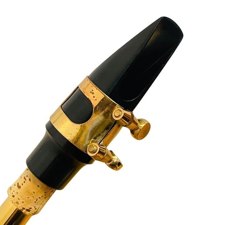 Kaerntner ケルントナー　アルトサックス 本体とケース付き Kaerntner ケルントナー アルトサックス ケース／ストラップ付き