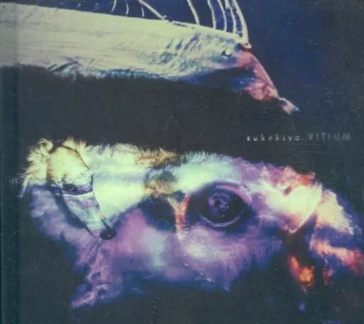 sukekiyo 「VITIUM」通販限定　初回盤 中古】邦楽CD sukekiyo / VITIUM[通販限定初回盤] - メルカリ