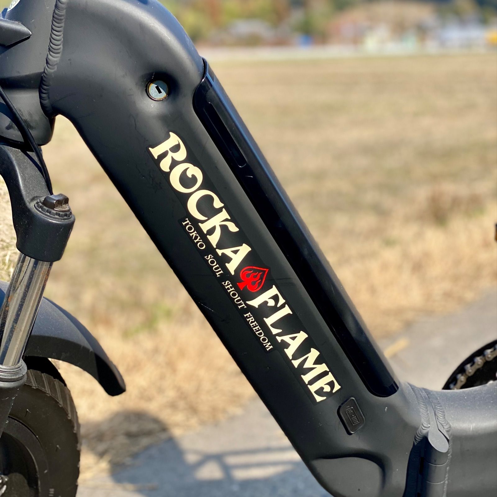 手渡し】ROCKA FLAME 20インチ 電動アシスト自転車 折り畳み ファット