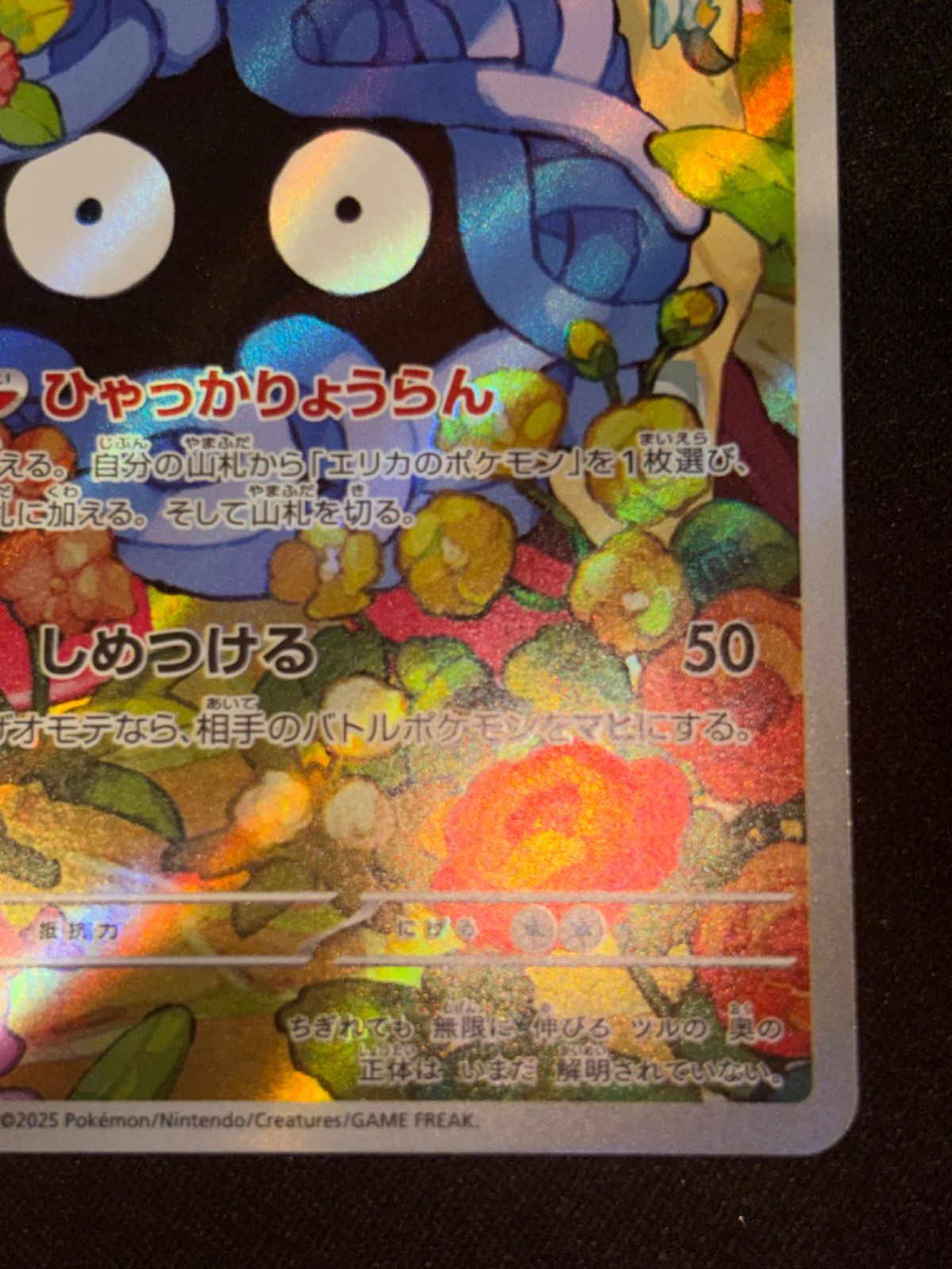 エリカのモンジャラ AR 仕様 MC 743/742 - メルカリ