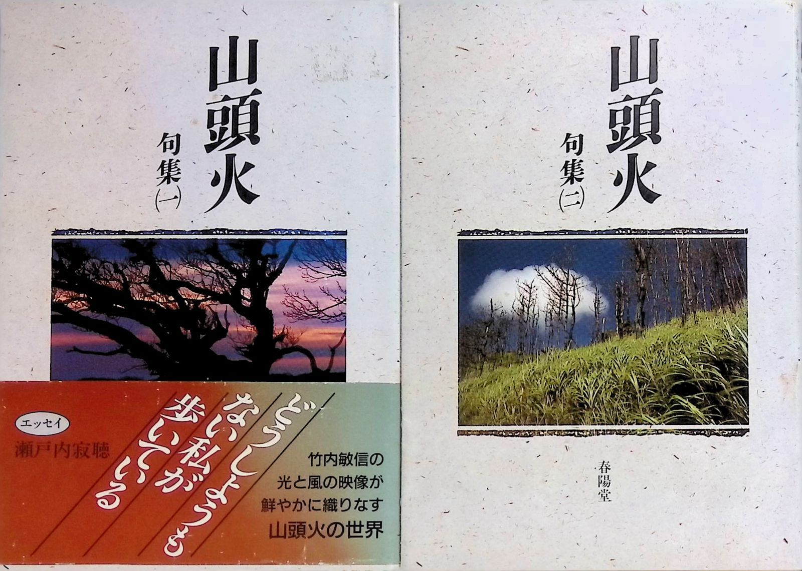 山頭火 句集 1・2巻 2冊セット 種田山頭火 1989年第10刷 - メルカリ