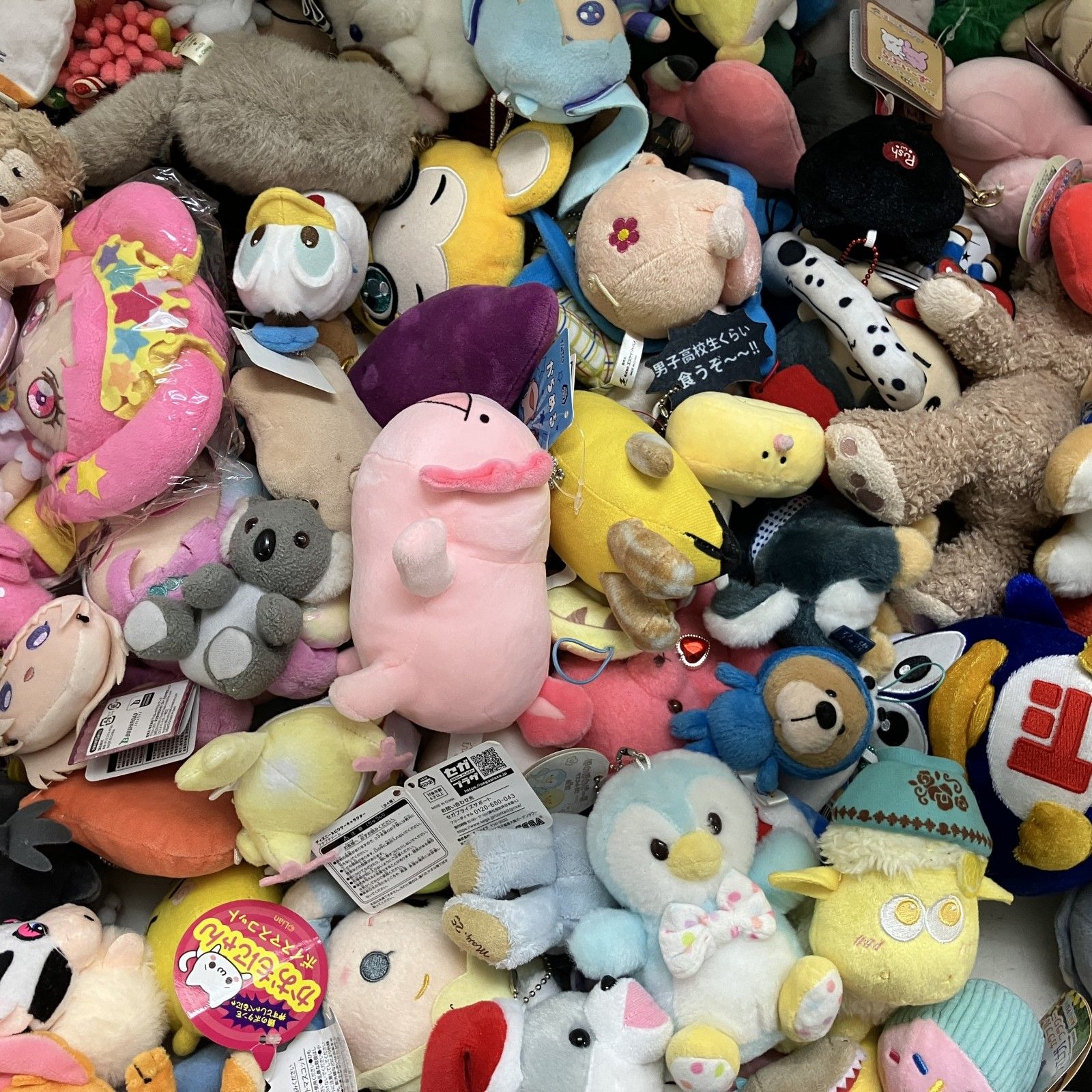  品 まとめ商品 キャラクター 色々 ぬいぐるみ 大量 Disney つぶらな瞳シリーズ アニマル など ぬいぐるみ本体 ぬいぐるみ