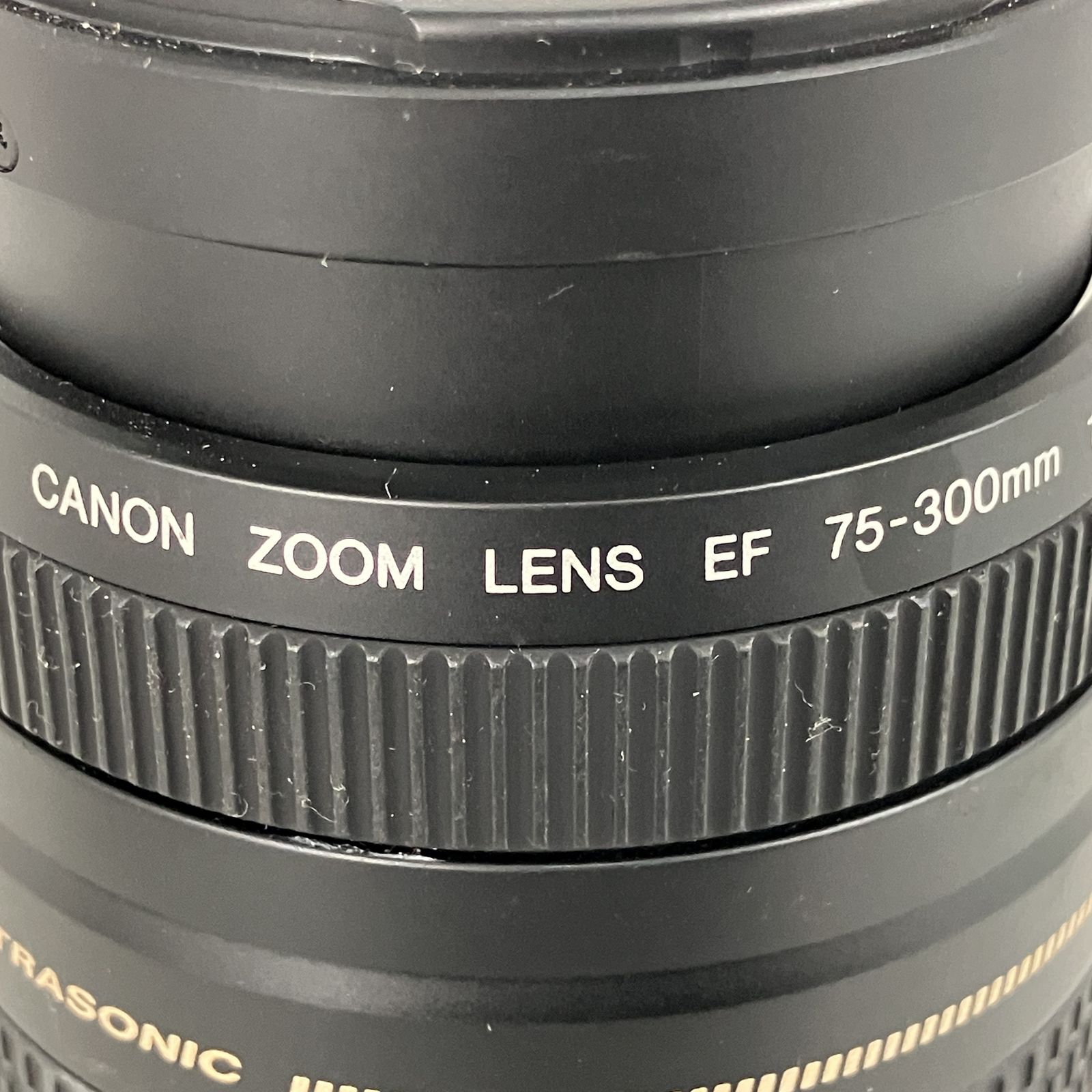Canon Zoom Lens EF 75-300mm F4-5.6 II ズームレンズ キャノン カメラ