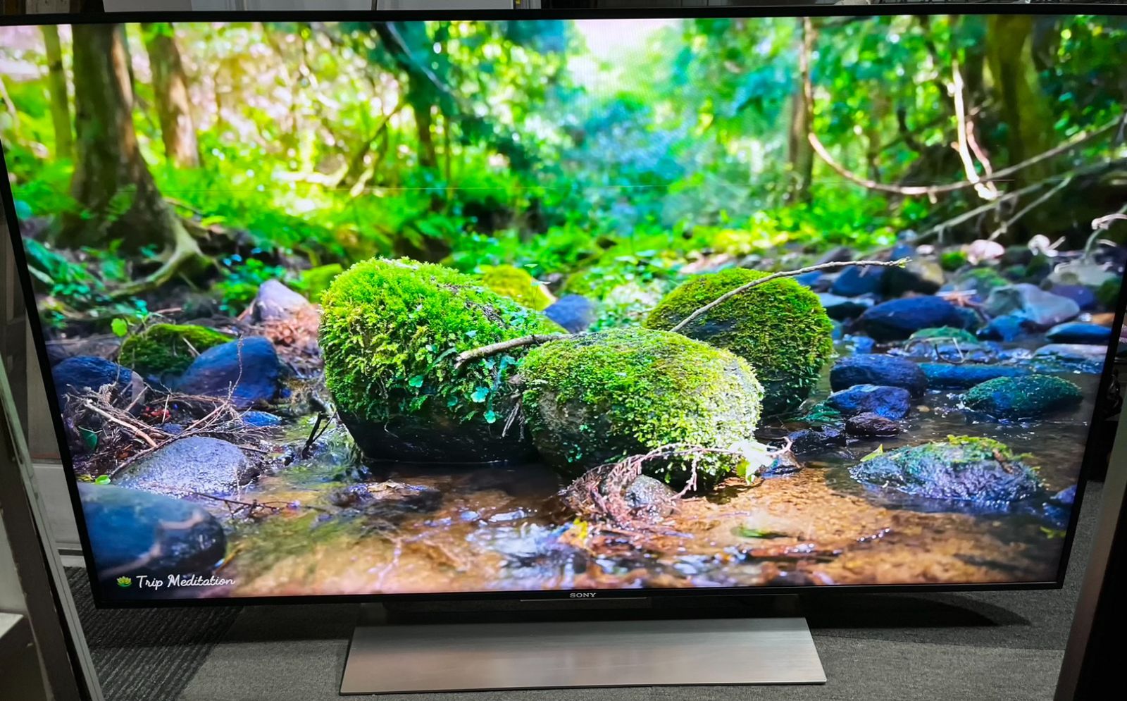 引き取り限定　SONY BRAVIA KJ-49X9000E ジャンク 引取限定 ジャンク SONY BRAVIA KJ-49X9000E 4K 49型 液晶 テレビ 2017