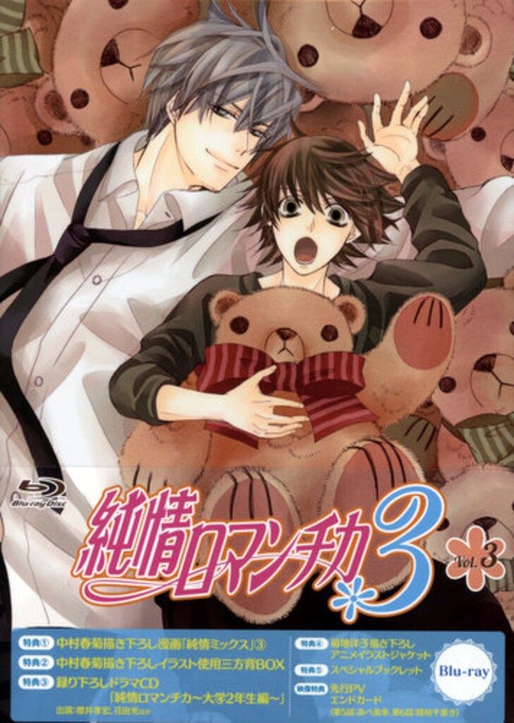 KADOKAWA 限定版 中村春菊 純情ロマンチカ3 Blu-ray 3 - メルカリ