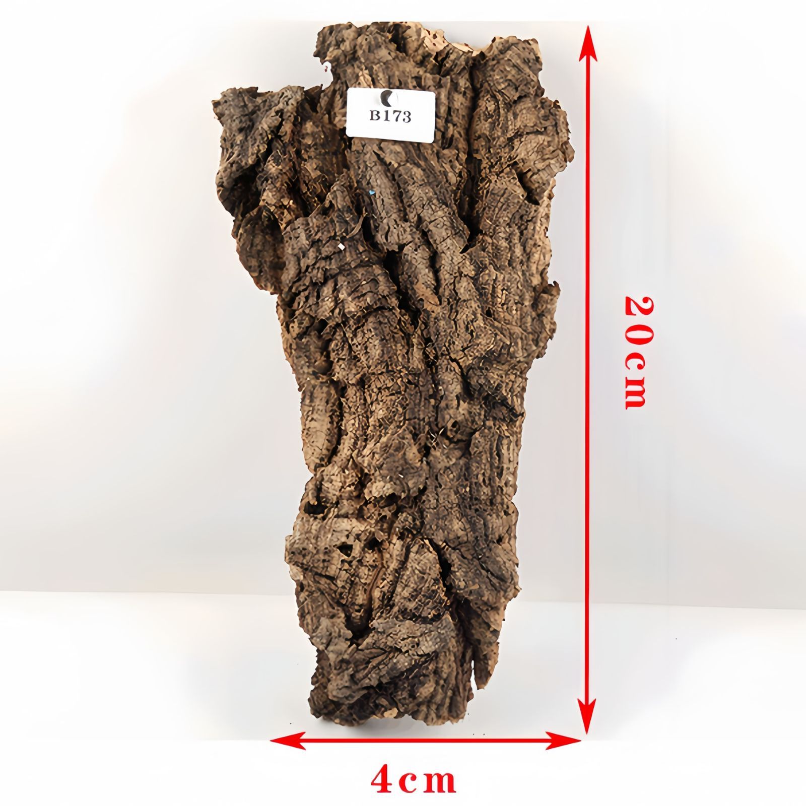 大型バージンコルク樹皮(3サイズセット） B173 ポルトガル産 厚め コルク樹皮 コルク板 バージンコルク 送料無料