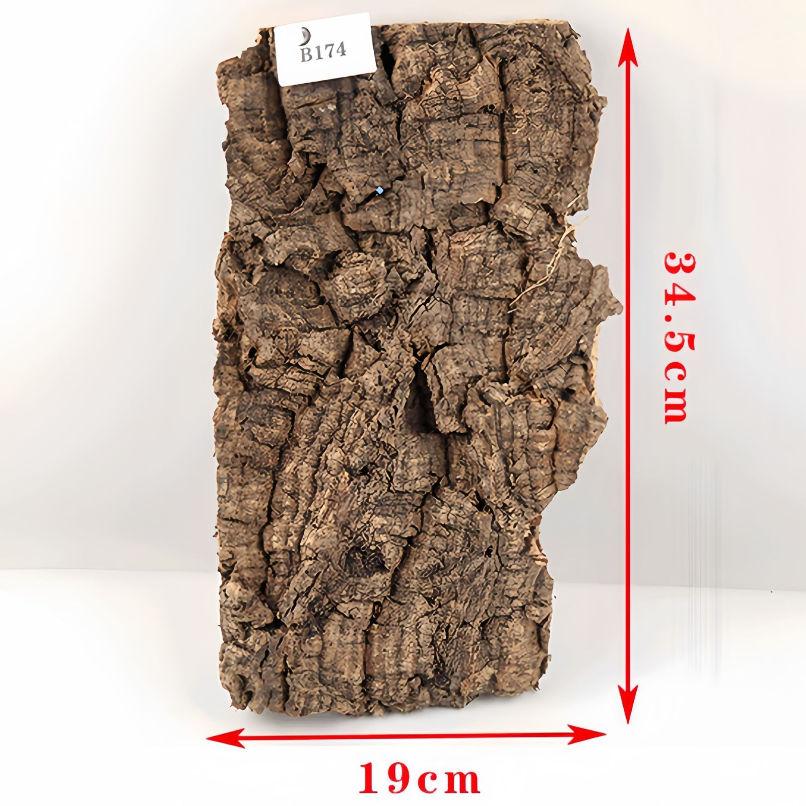 B174 ポルトガル産 厚め コルク樹皮 コルク板 バージンコルク 送料無料