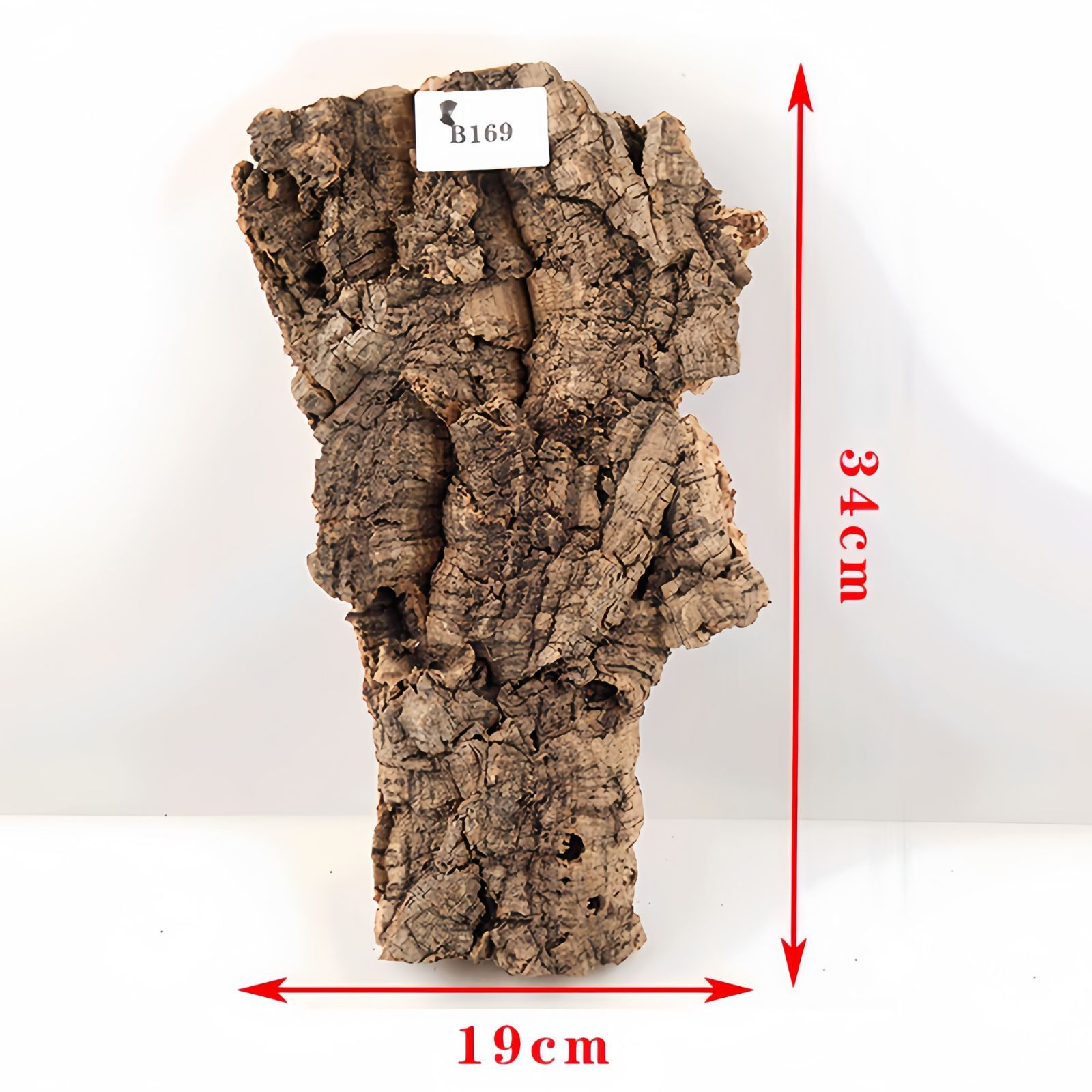 B169 ポルトガル産 厚め コルク樹皮 コルク板 バージンコルク 送料無料