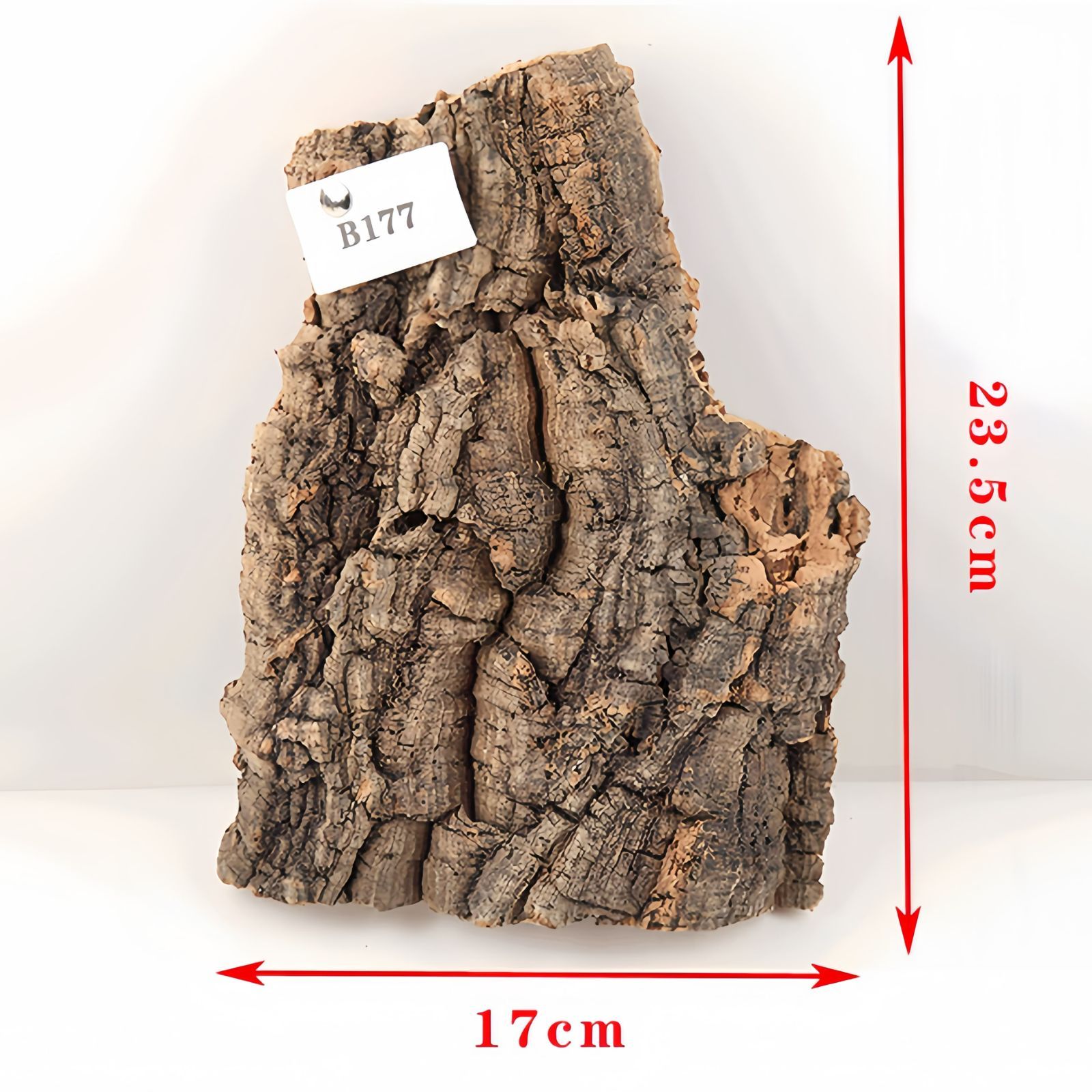 B177 ポルトガル産 厚め コルク樹皮 コルク板 バージンコルク 送料無料