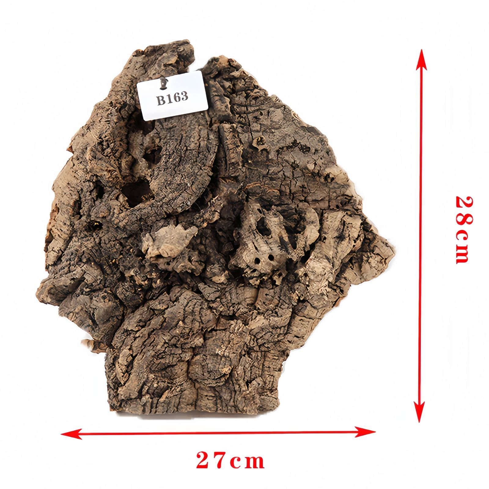 ポルトガル産コルク樹皮PL-102-10LL ポルトガル産コルク樹皮PL-102