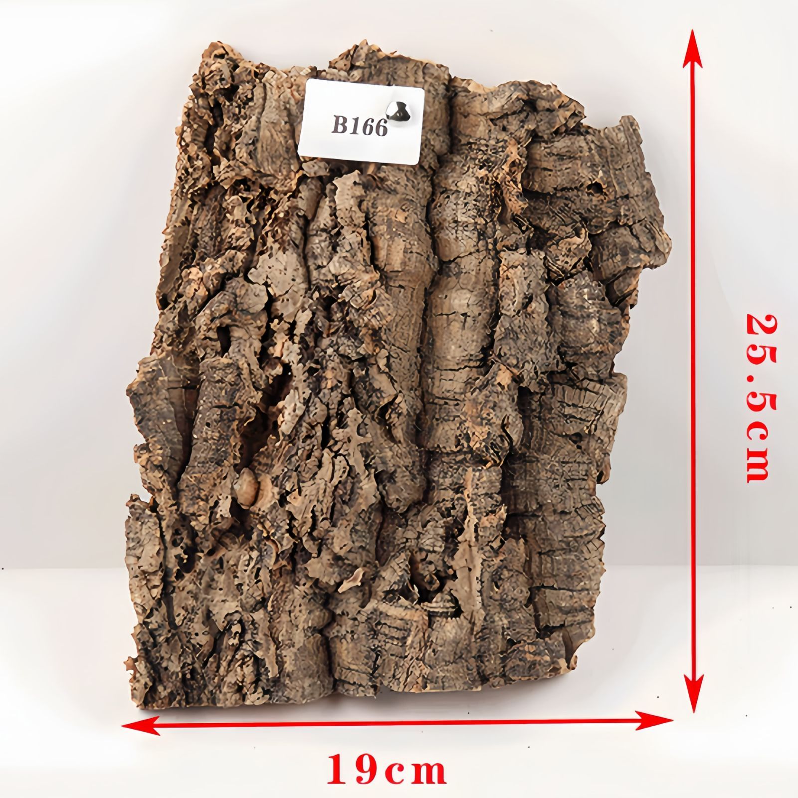 ポルトガル産コルク樹皮PL-102-10LL ポルトガル産コルク樹皮PL-102