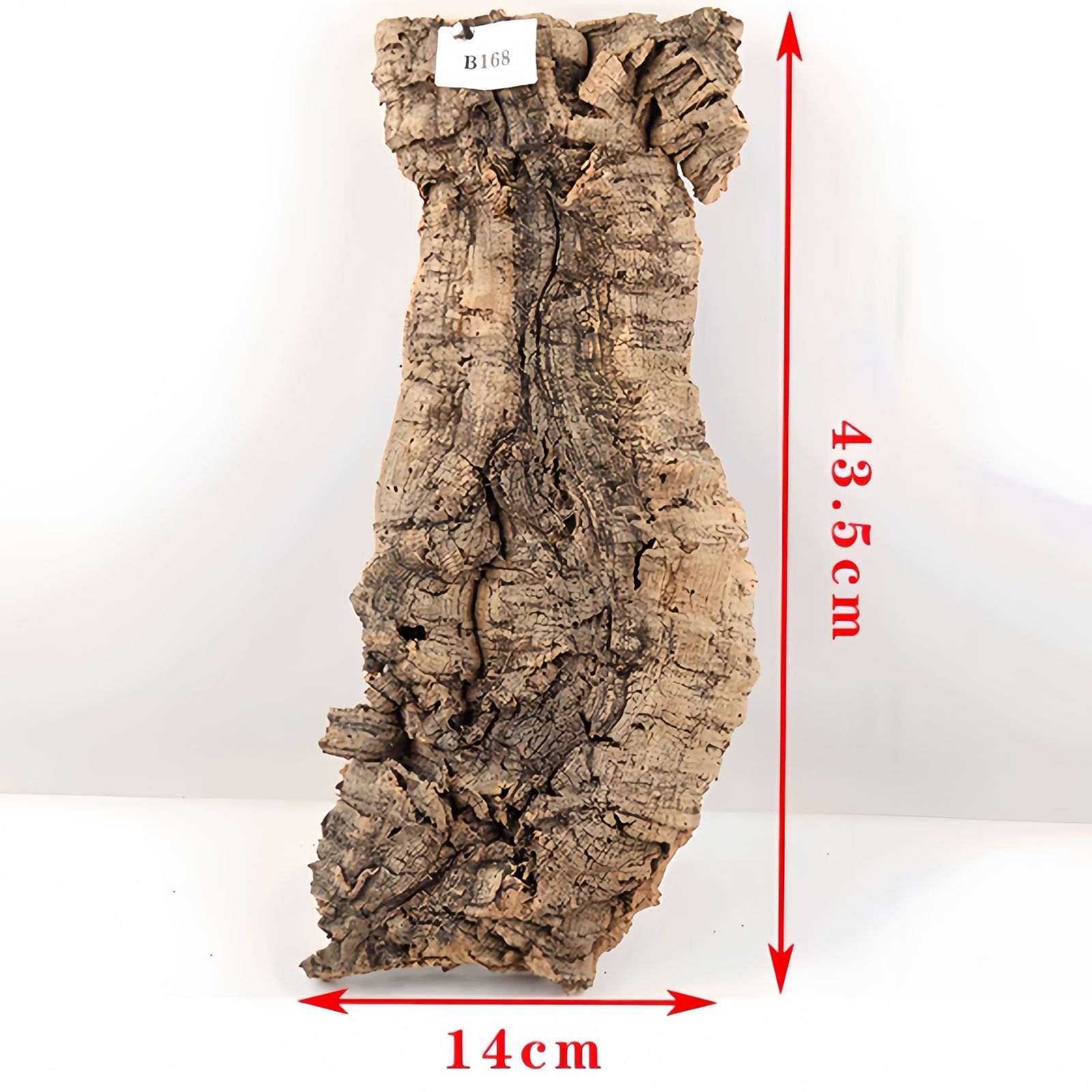 B168 ポルトガル産 厚め コルク樹皮 コルク板 バージンコルク 送料無料