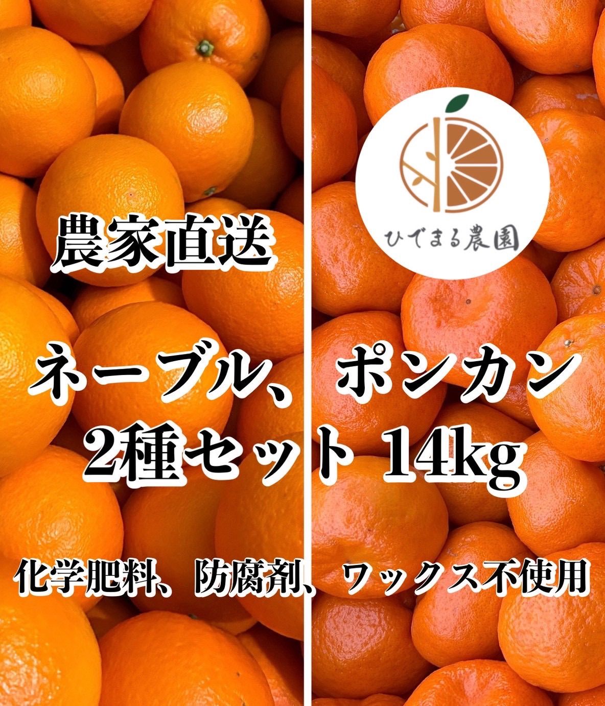 なおちゃん様 リクエスト 2点 まとめ商品 【公式通販】 直様 