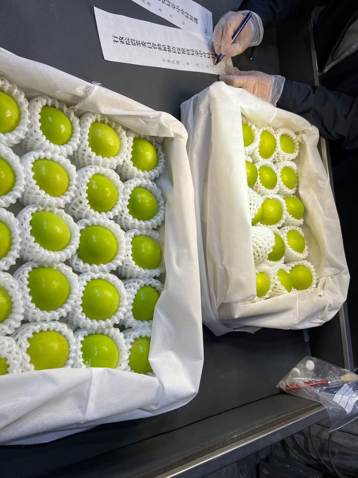 先行予約 台湾蜜棗 2.5kg*2箱セット - メルカリ