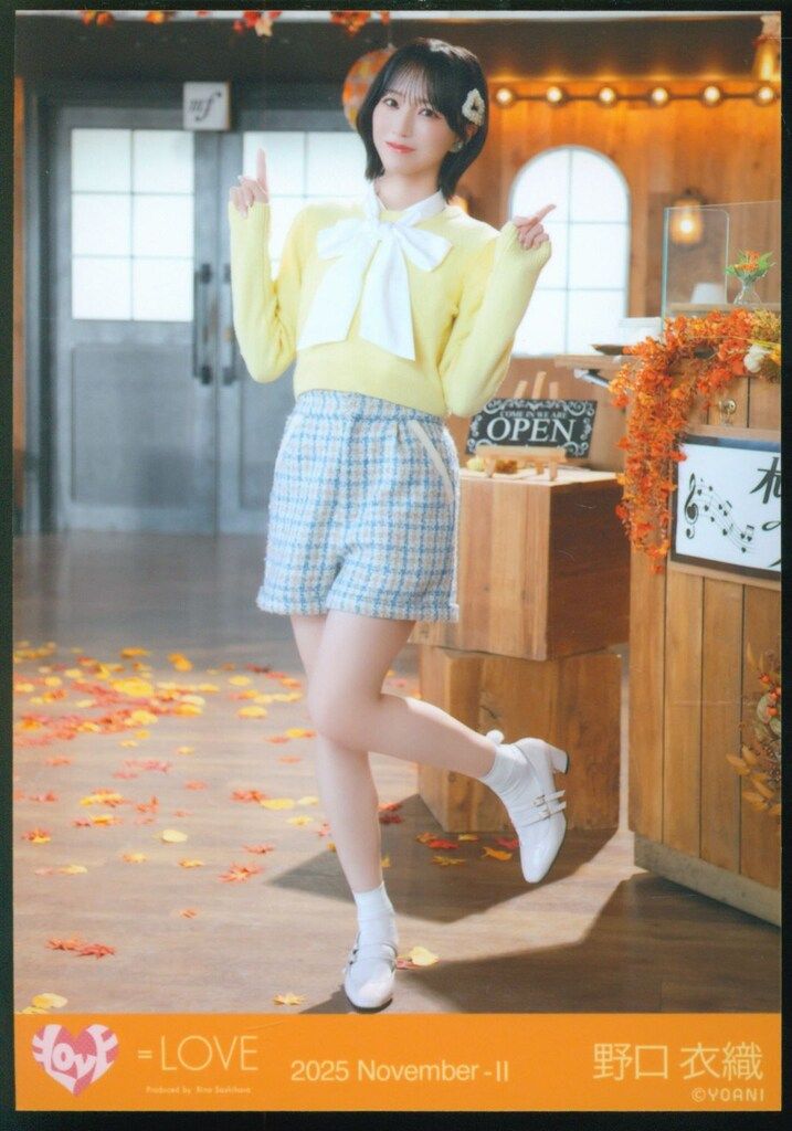 LOVE 2025年11月ランダム生写真 野口衣織 2025 November-II (19thcw