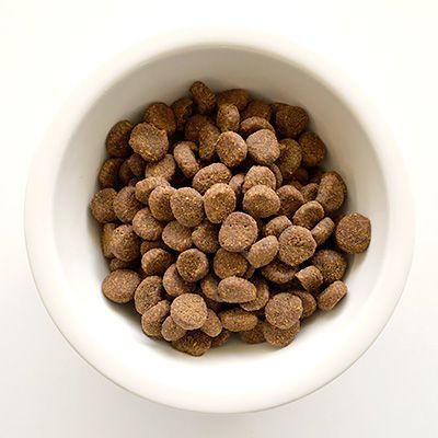 正規品】カナダ産 オリジン パピー 2kg 多彩で豊富な肉類 子犬の成長と