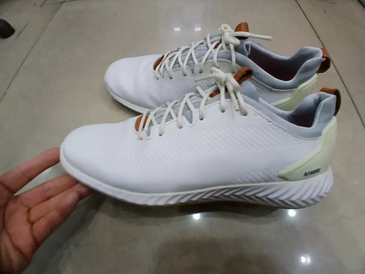 PUMA IGNITE ゴルフシューズ 250mm - メルカリ