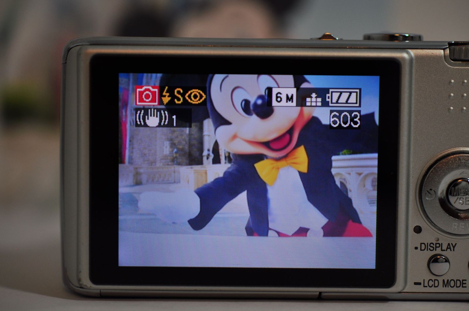 Panasonic LUMIX DMC-FX01 DIGITAL Camera シルバー デジカメ デジタル