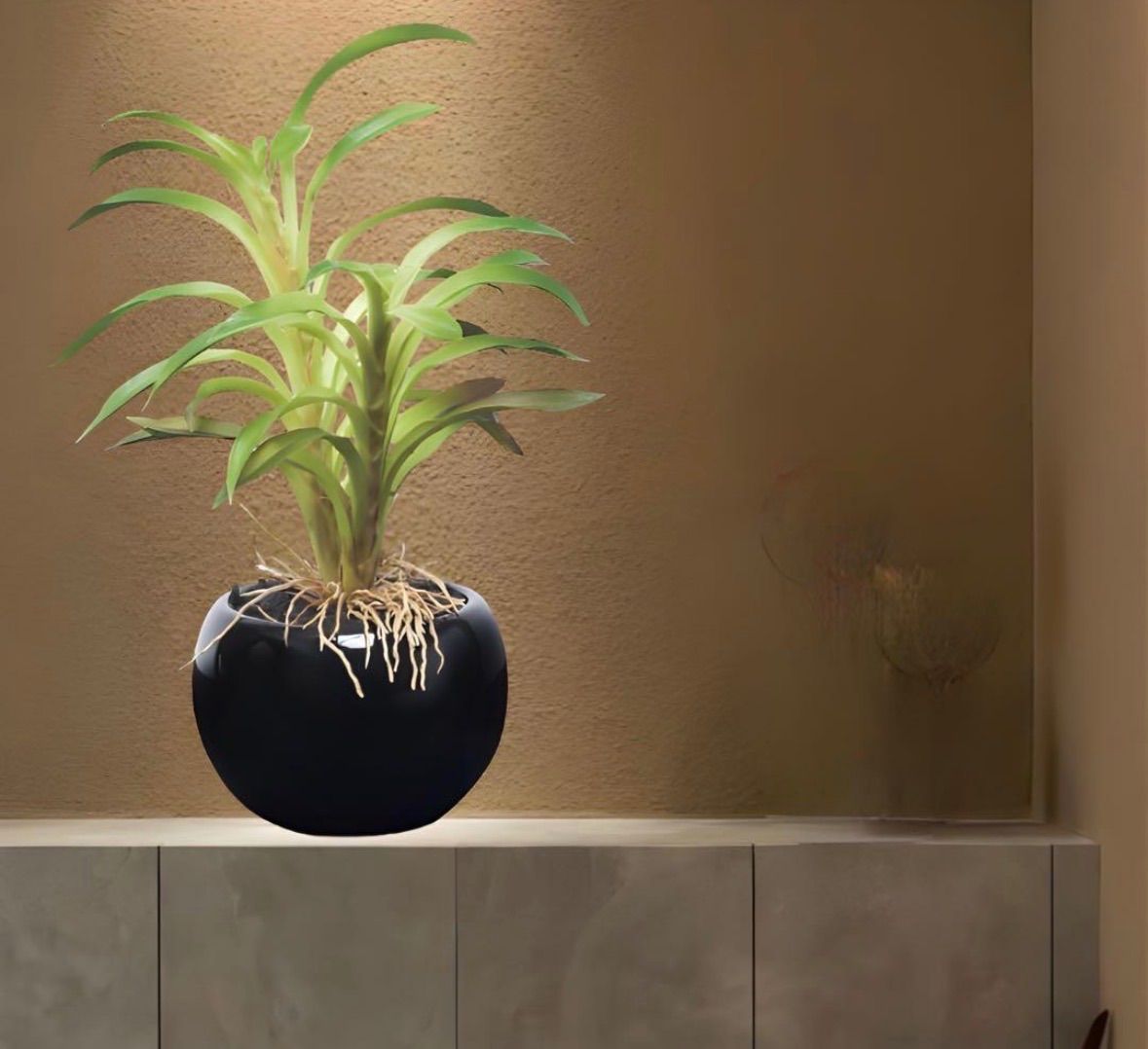 光触媒 人工観葉植物 ウォールグリーン フェイクグリーン カクタ