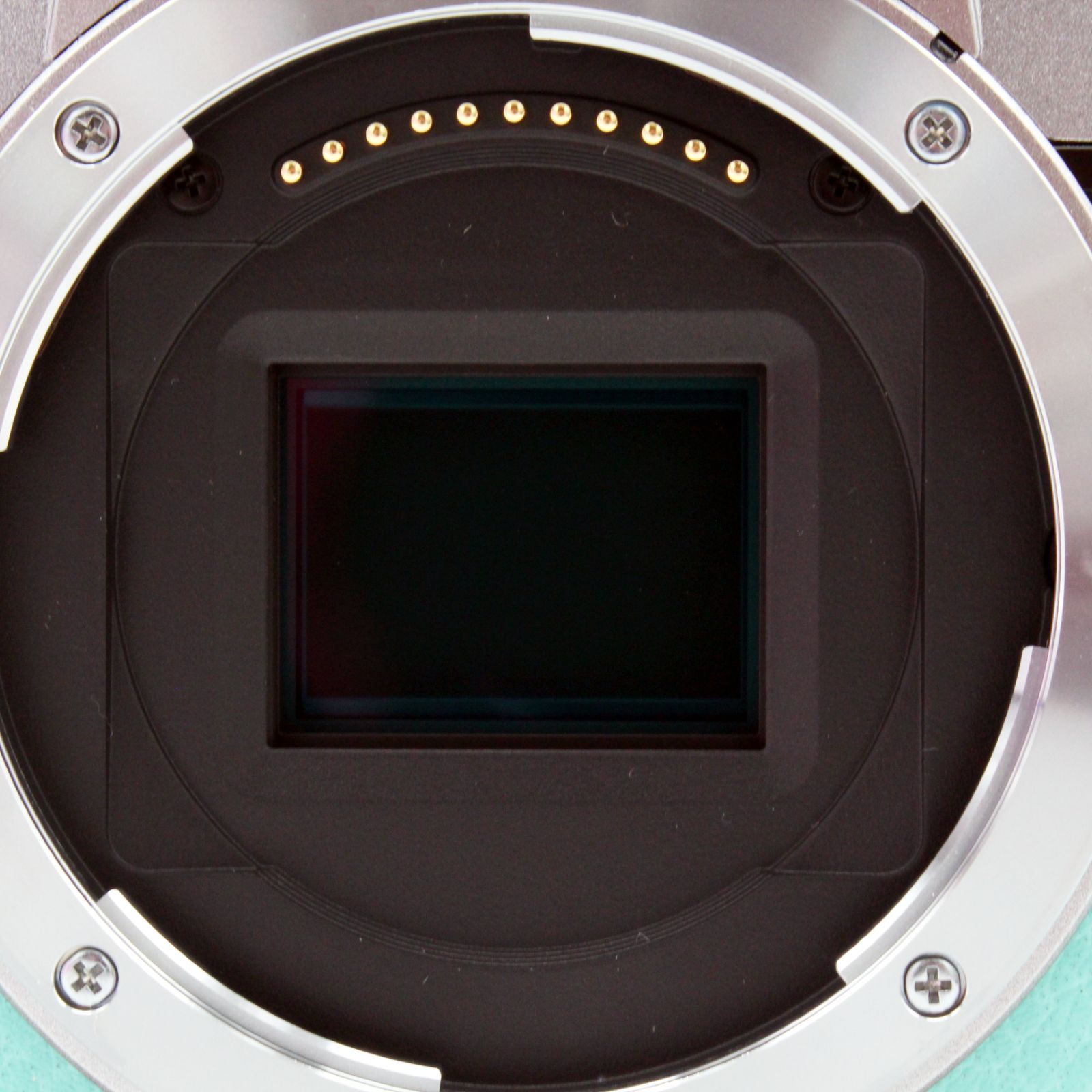 わずかシャッター数382枚【新品級】Nikon Z fc (ミントグリーン)#8723