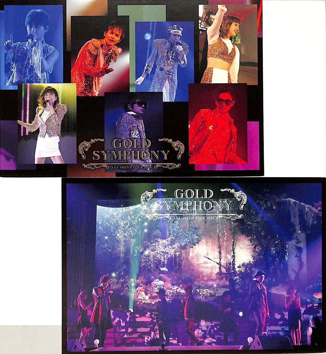 DVD2枚 / AAA / ARENA TOUR 2014 -Gold Symphony- / G00036485 - メルカリ