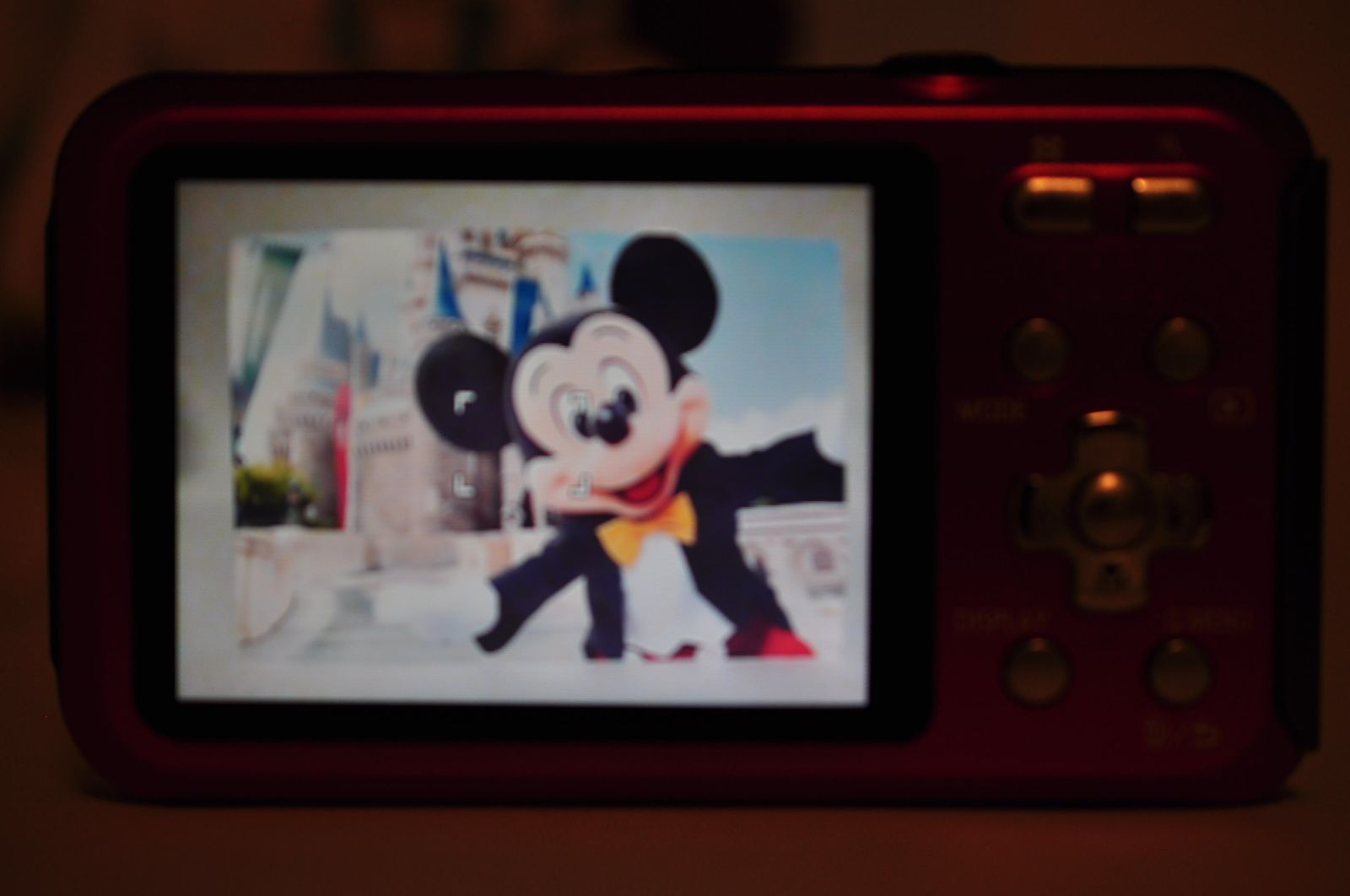 Panasonic LUMIX DMC-FT20 DIGITAL Camera レッド デジカメ デジタル