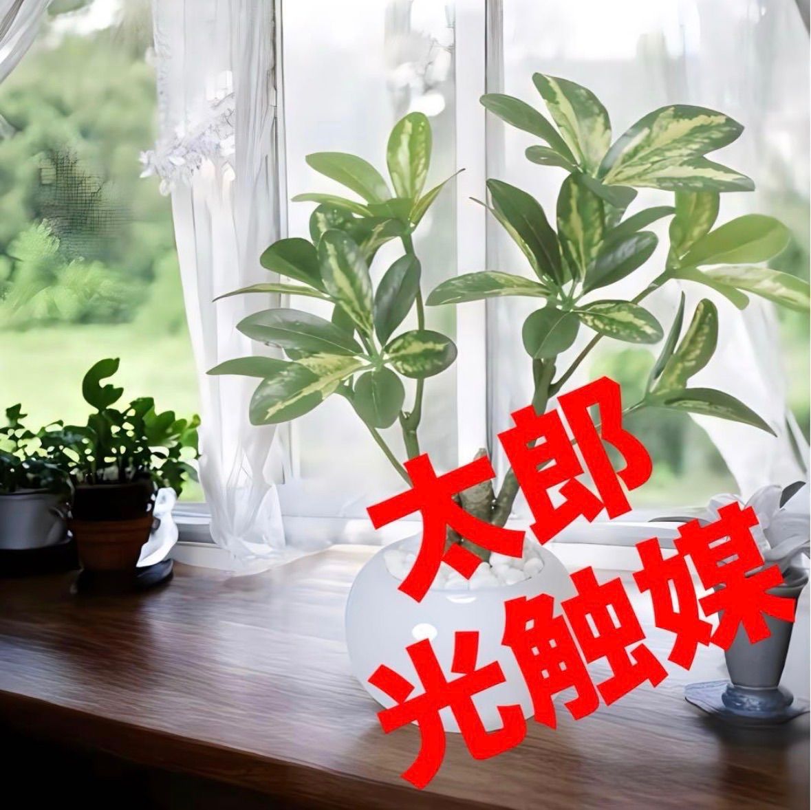 光触媒 人工観葉植物 ウォールグリーン フェイクグリーン シェフレラ