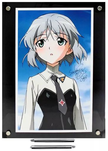 原画イラストボード 付属品付 ストライクウィッチーズ 直筆サイン入り複製原画 サーニャ V リトヴャク