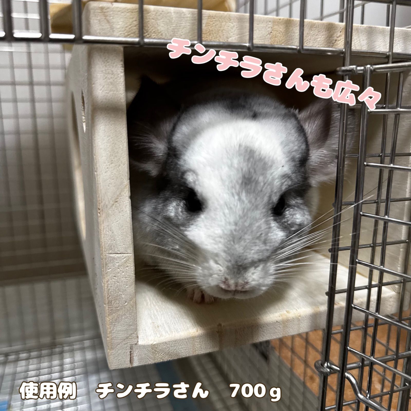 チンチラトンネルロング Belle♡… (316) 小動物ハウス チンチラ