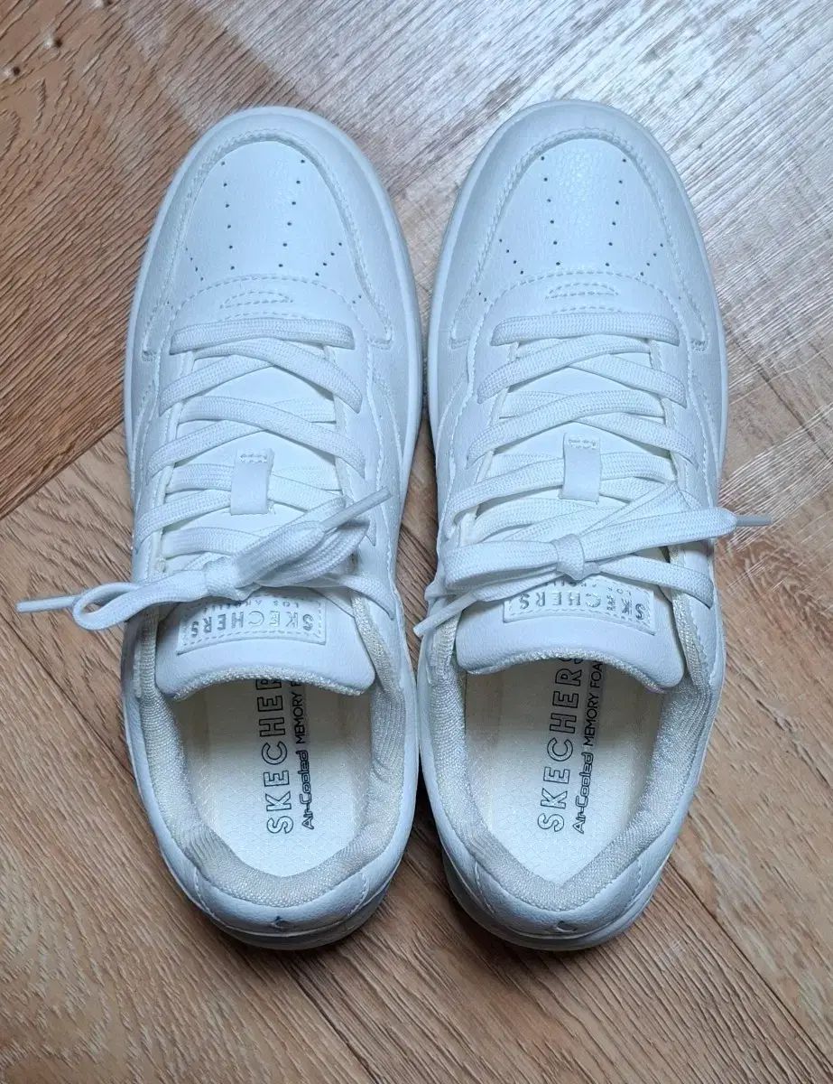 SKECHERS スケッチャーズ 約240 スニーカー