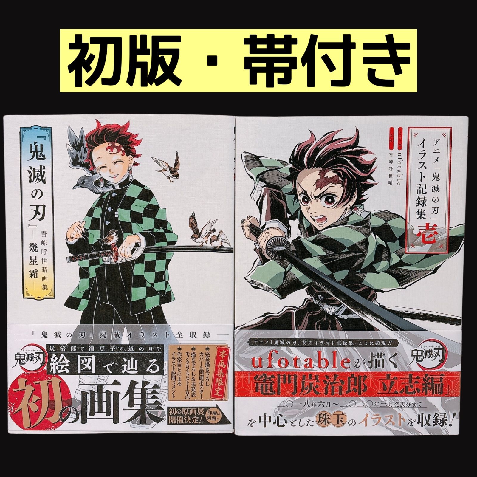 初版・帯付き】 鬼滅の刃 吾峠呼世晴画集ー幾星霜ー イラスト集 鬼滅の