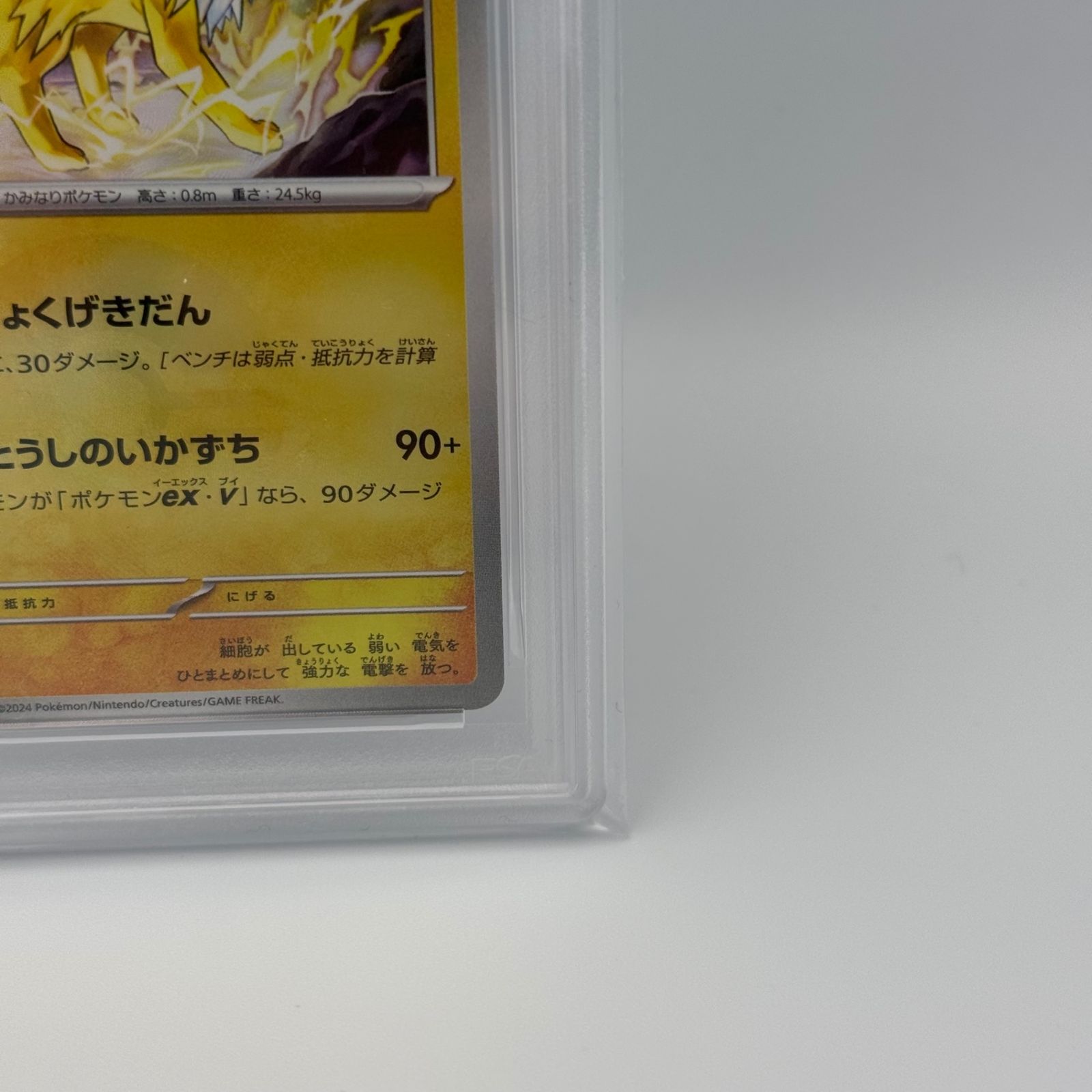 PSA10】サンダース モンスターボールミラー テラスタルフェスex 【公式