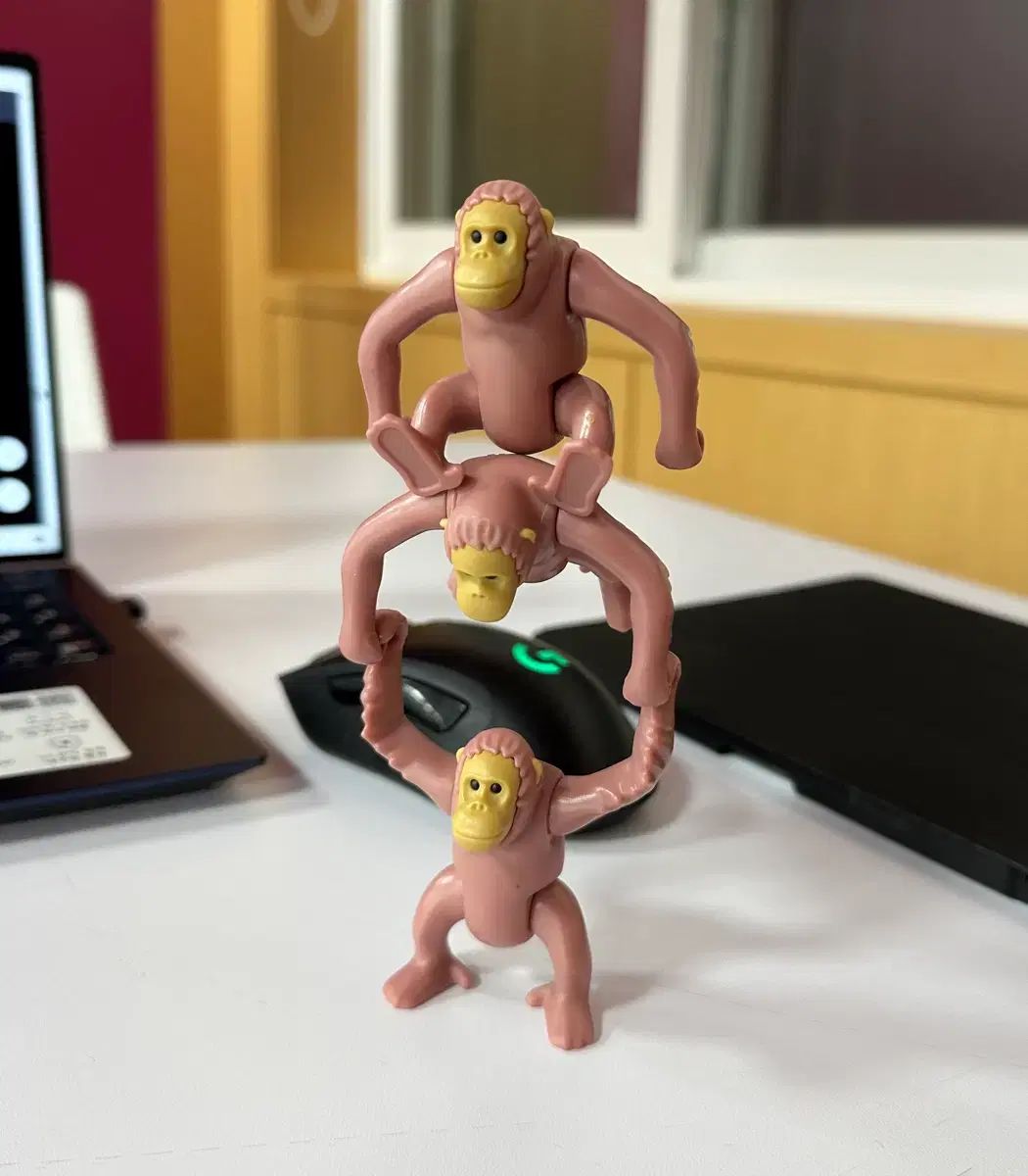 オランウータン