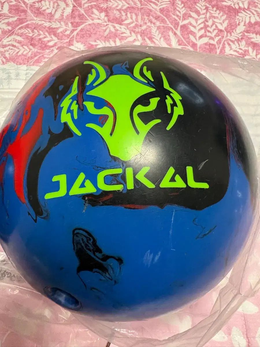 ウールTシャツ ジャッカル（JACKAL） ハウル 15p トゥーハンド 지공