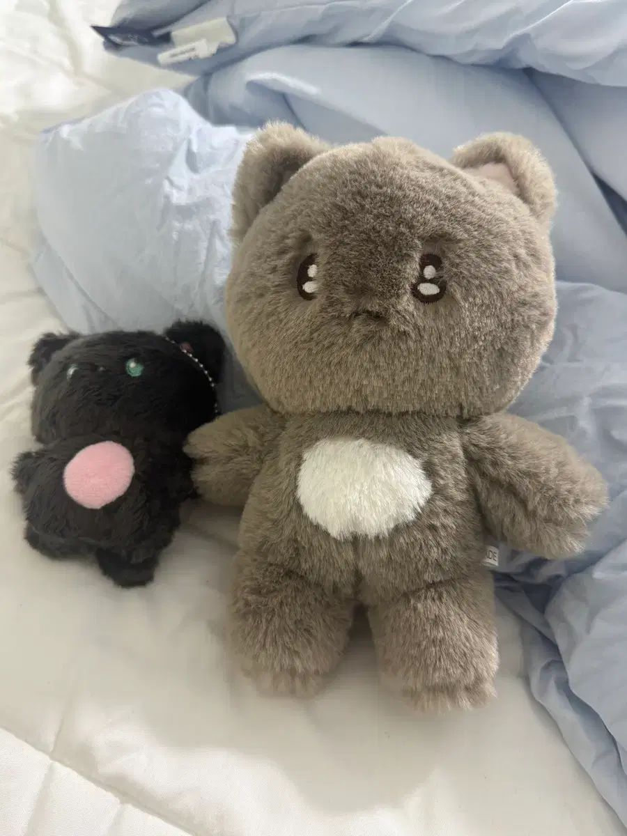 THE BOYZ(ザ・ボーイズ・ドボイズ) ジュヨン(JUYEON) ぬいぐるみ