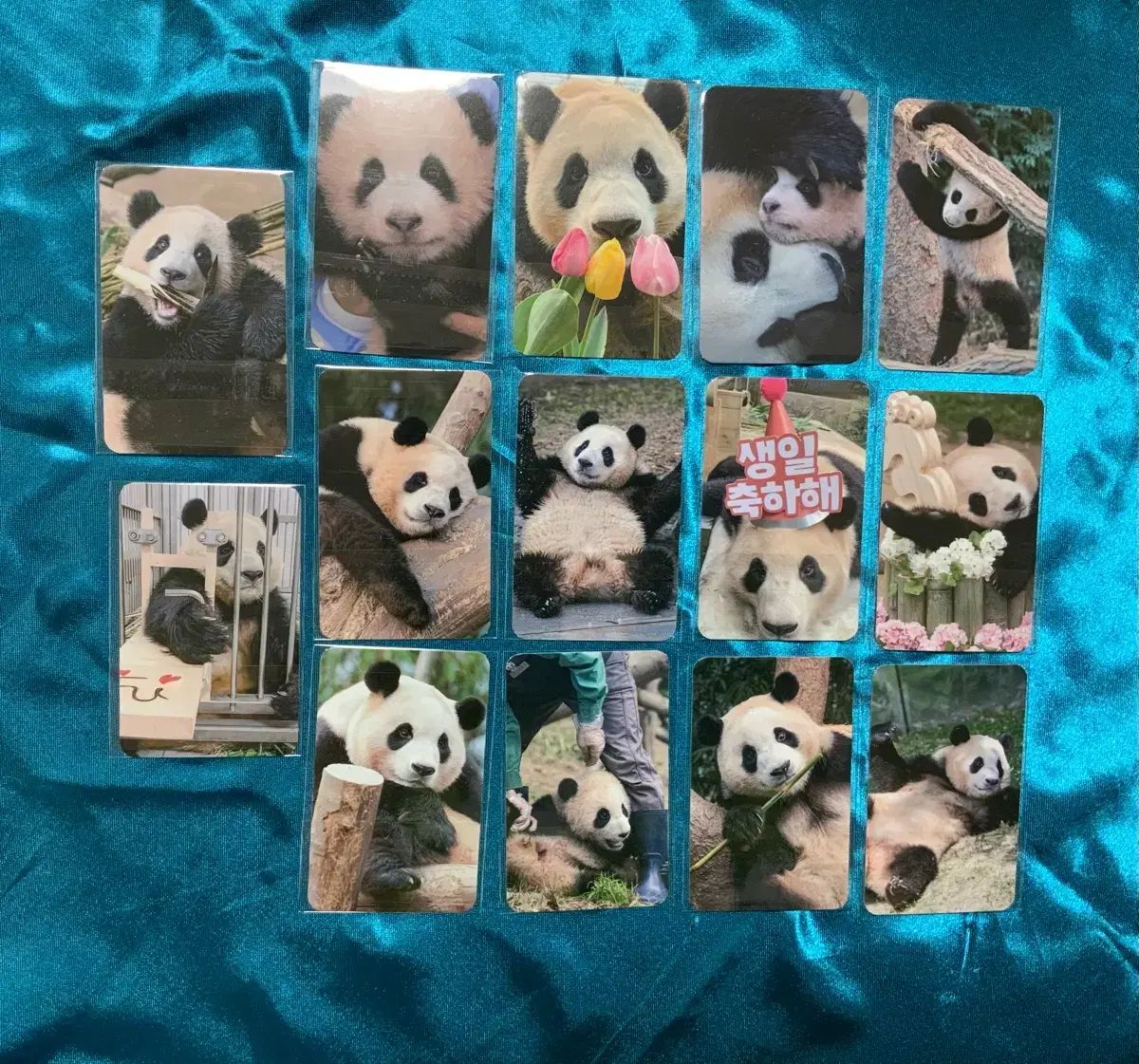 プーバオ シーズンズグリーティング プーカード 14種