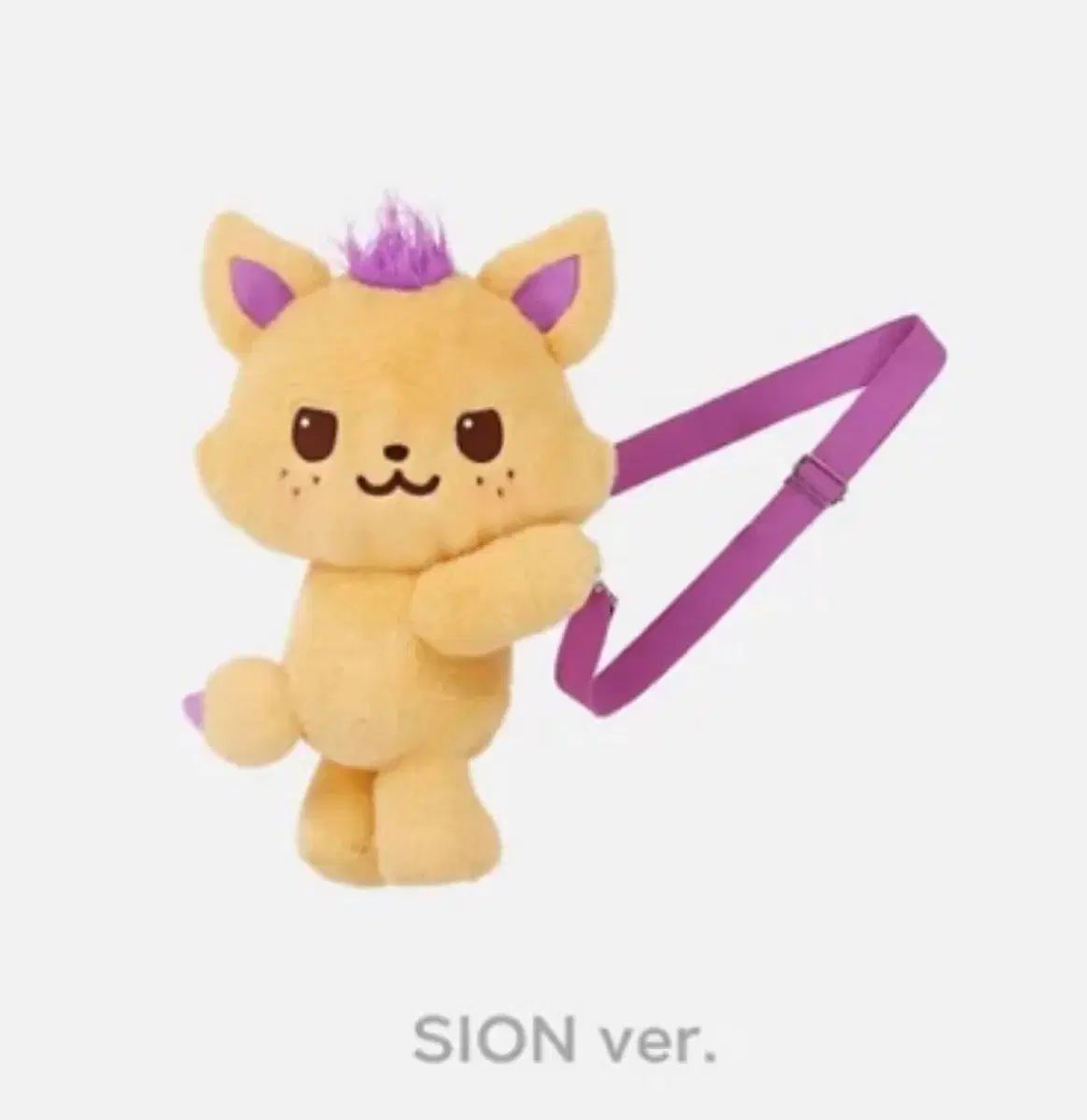 シオニング ペンライトバッグ シオン ローグ MD NCT エヌシーティー WIND AND WISH