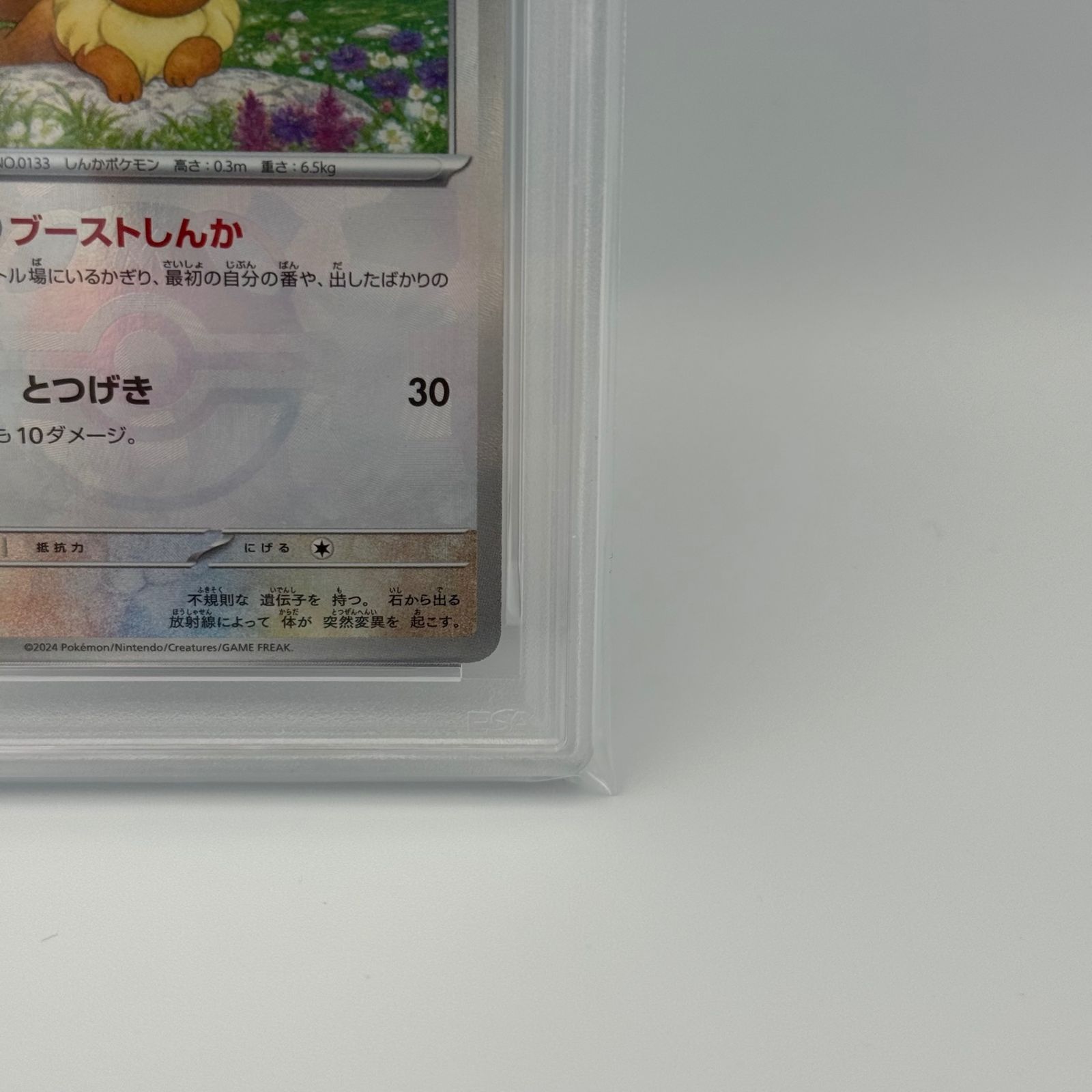 テラスタルフェスex