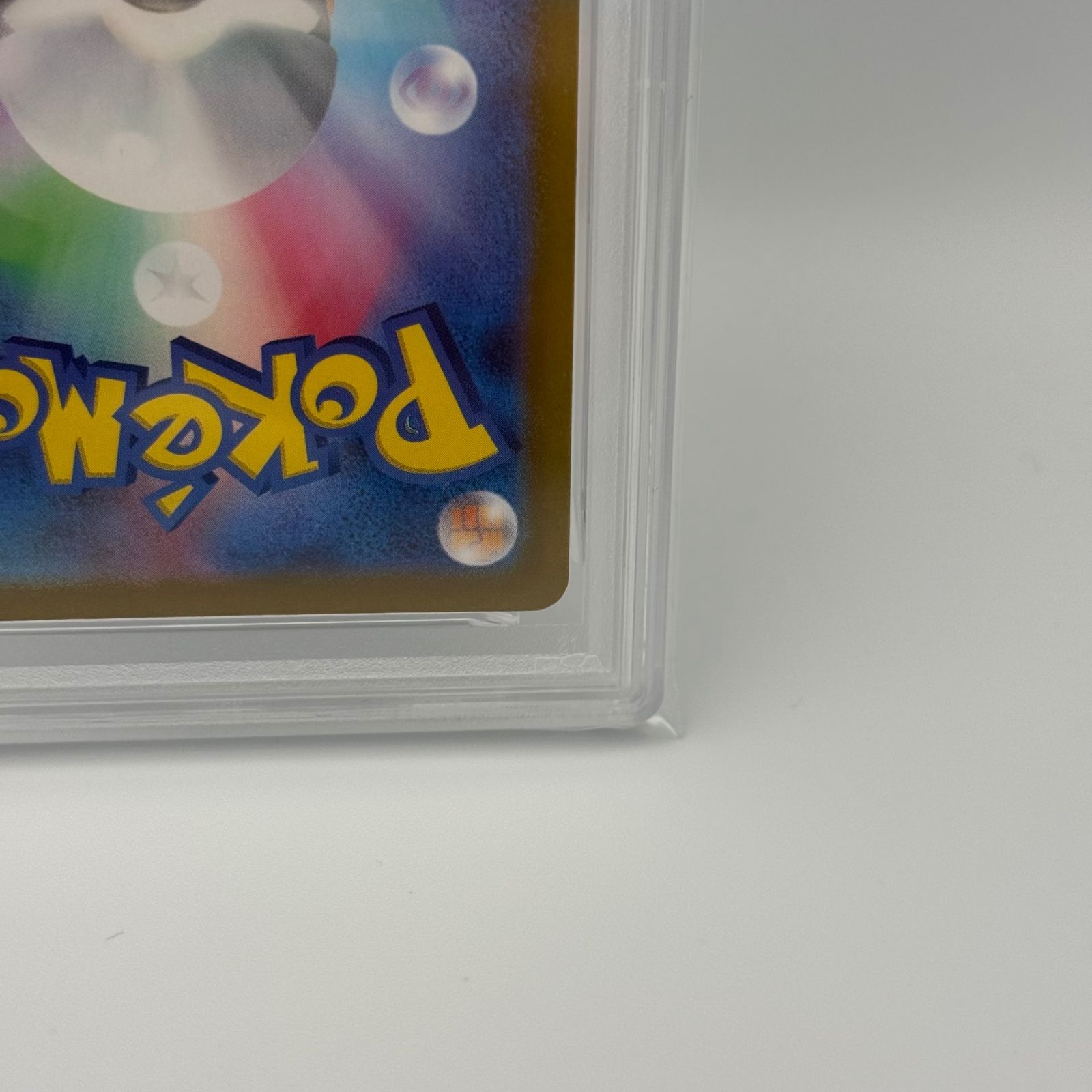 テラスタルフェスex