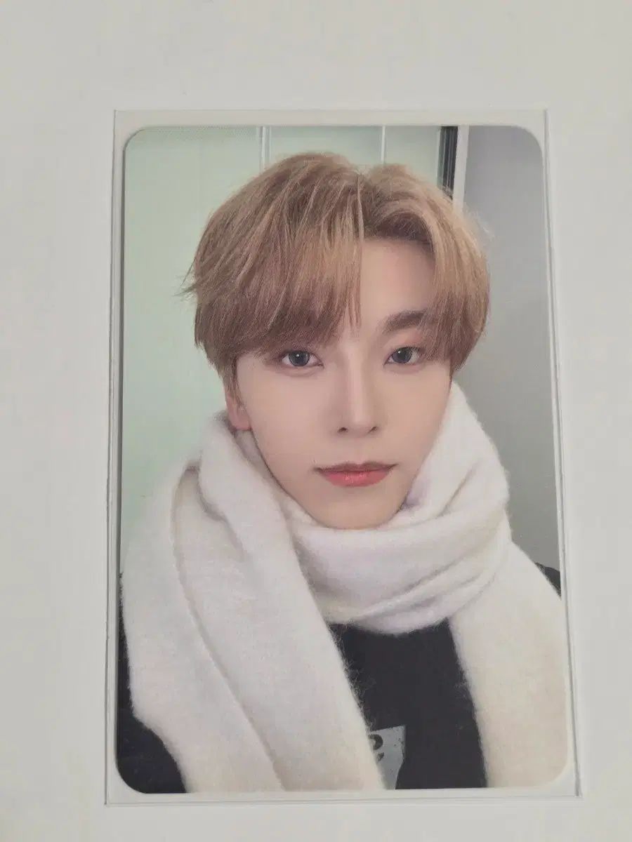 アルディONE メイスタ her씬ロング 떡코 トレカ